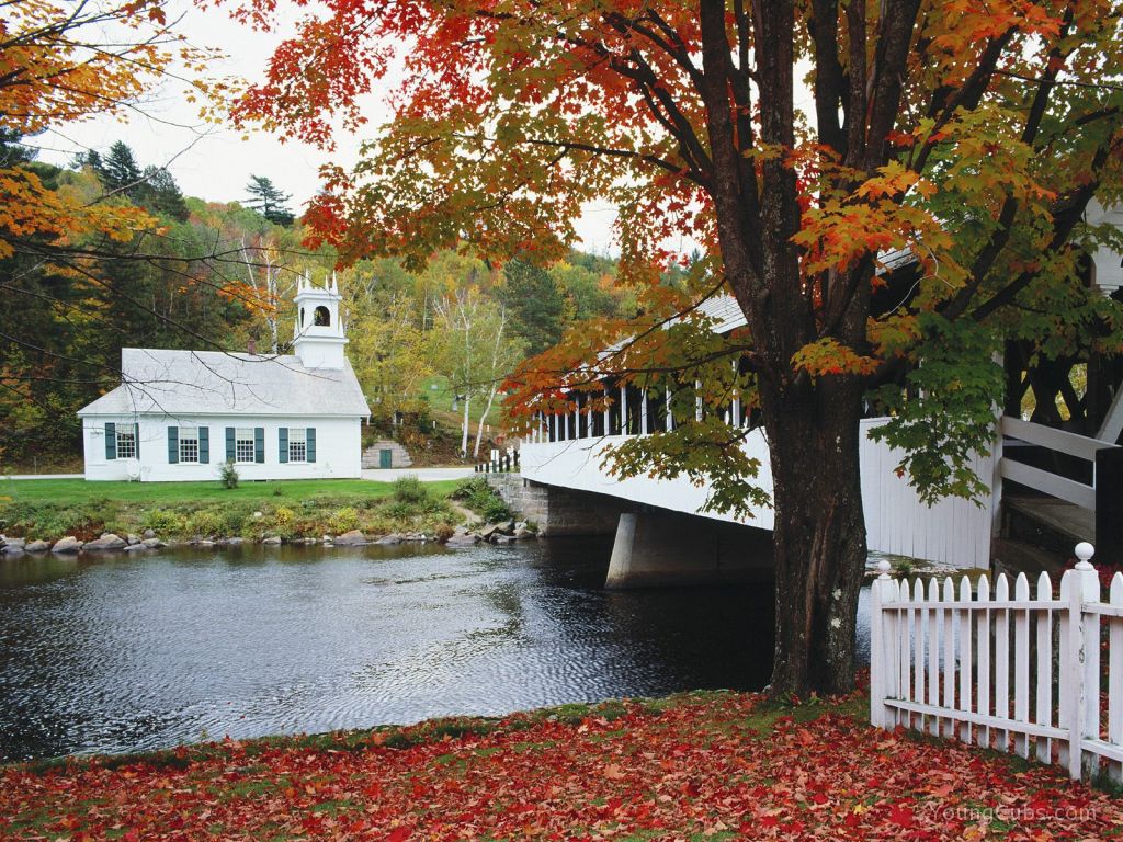 Seasonal Color, New Hampshire